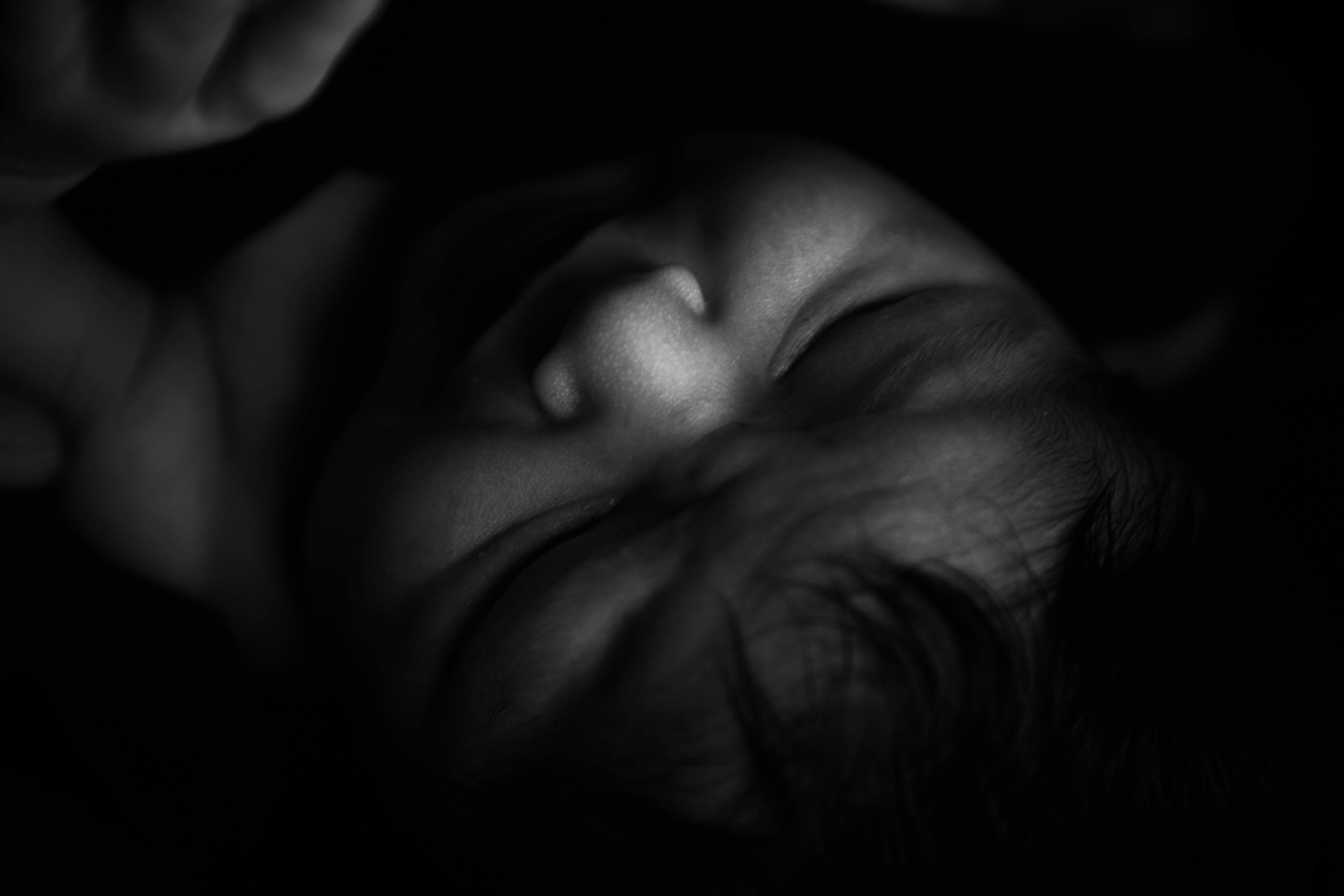 description of image 6