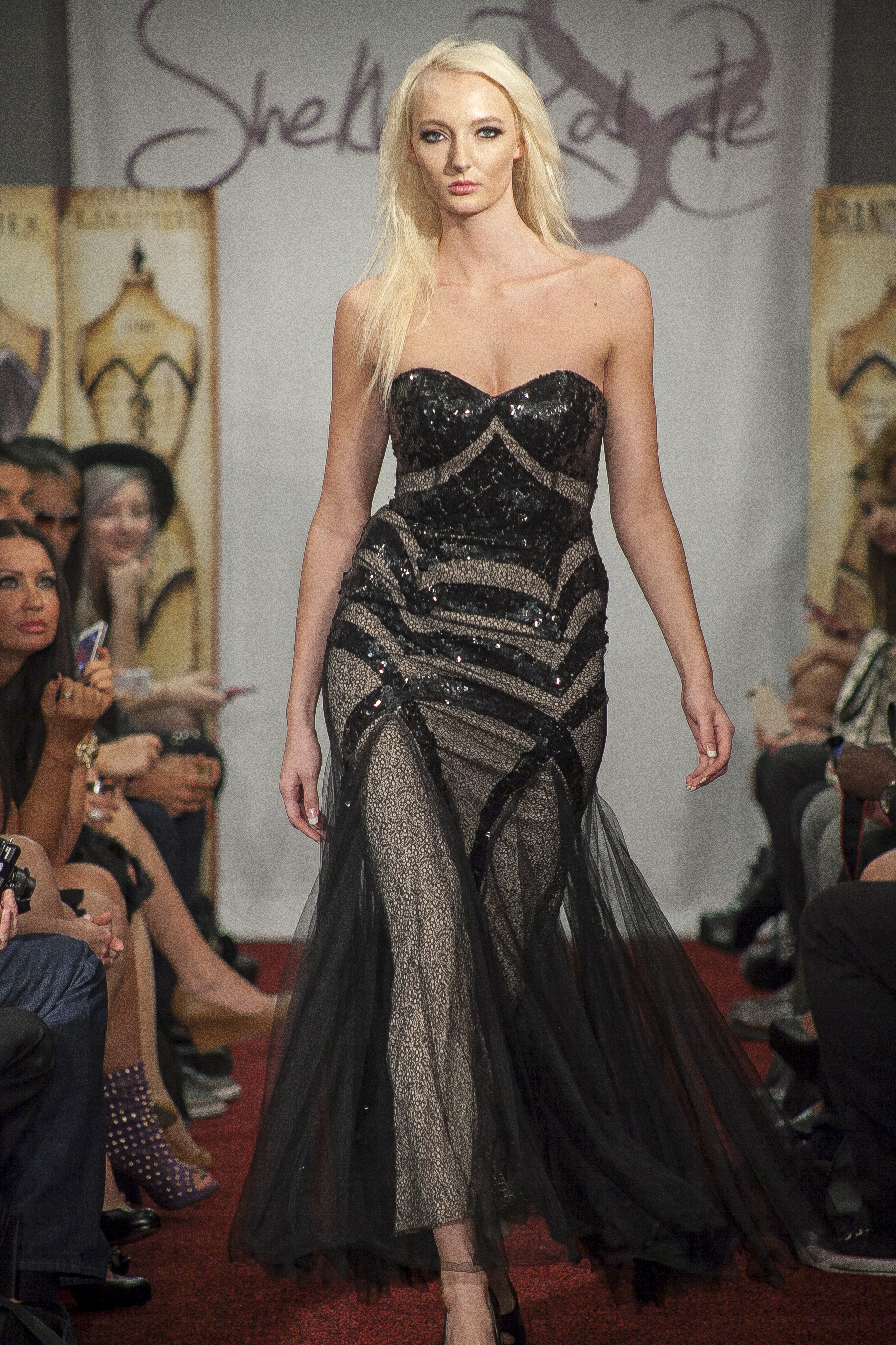 description of image 5