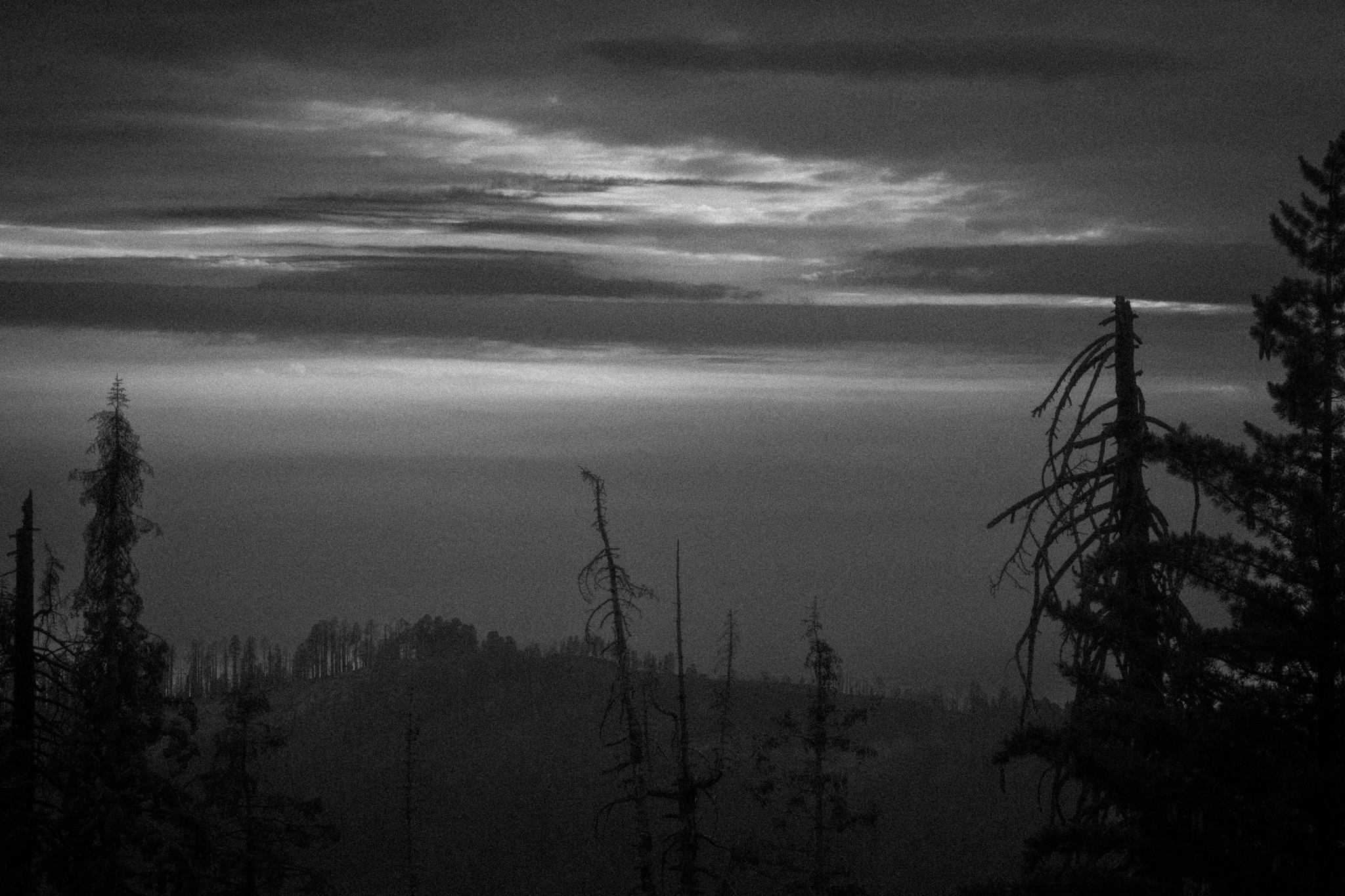 description of image 2