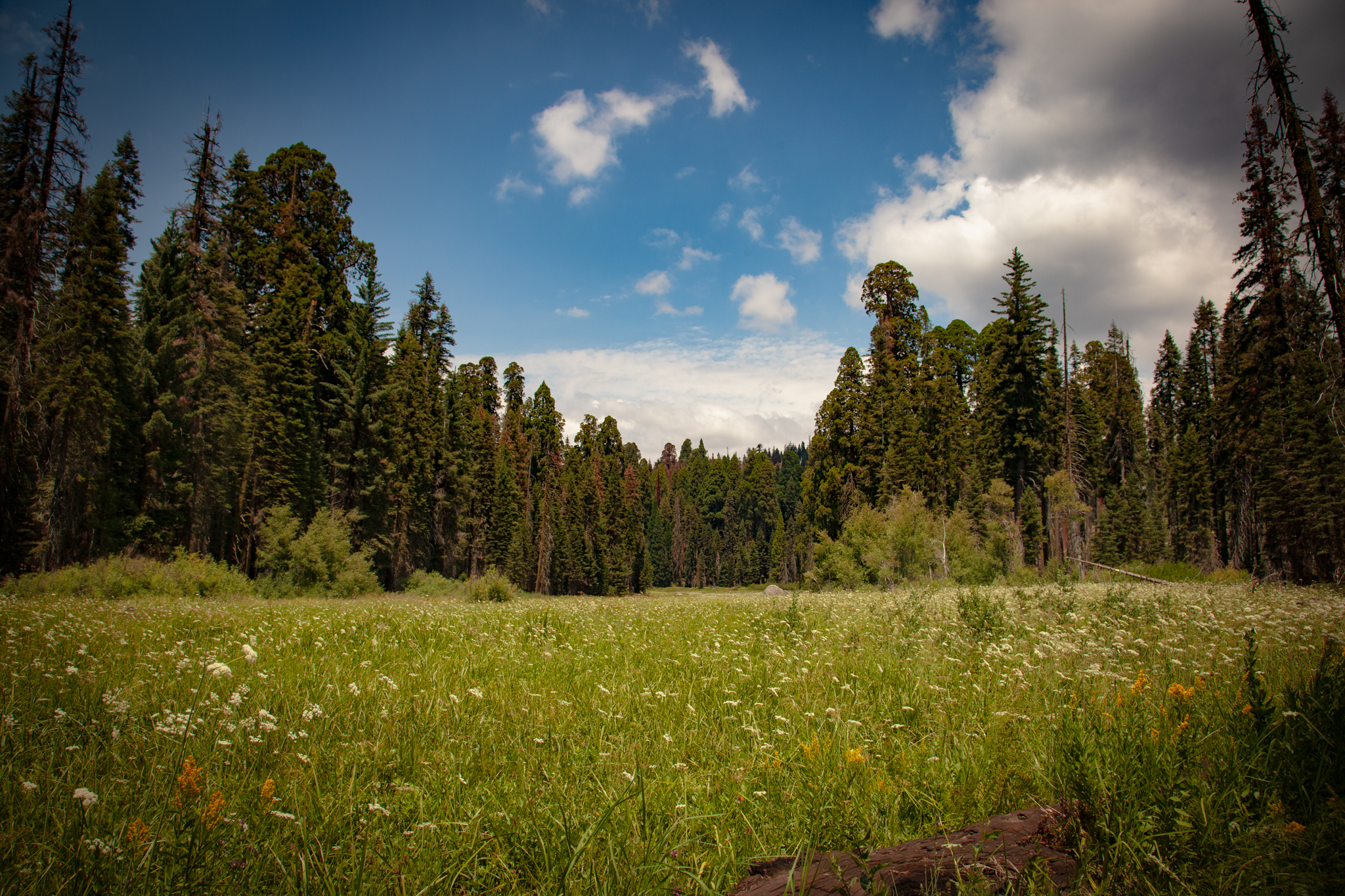 description of image 3