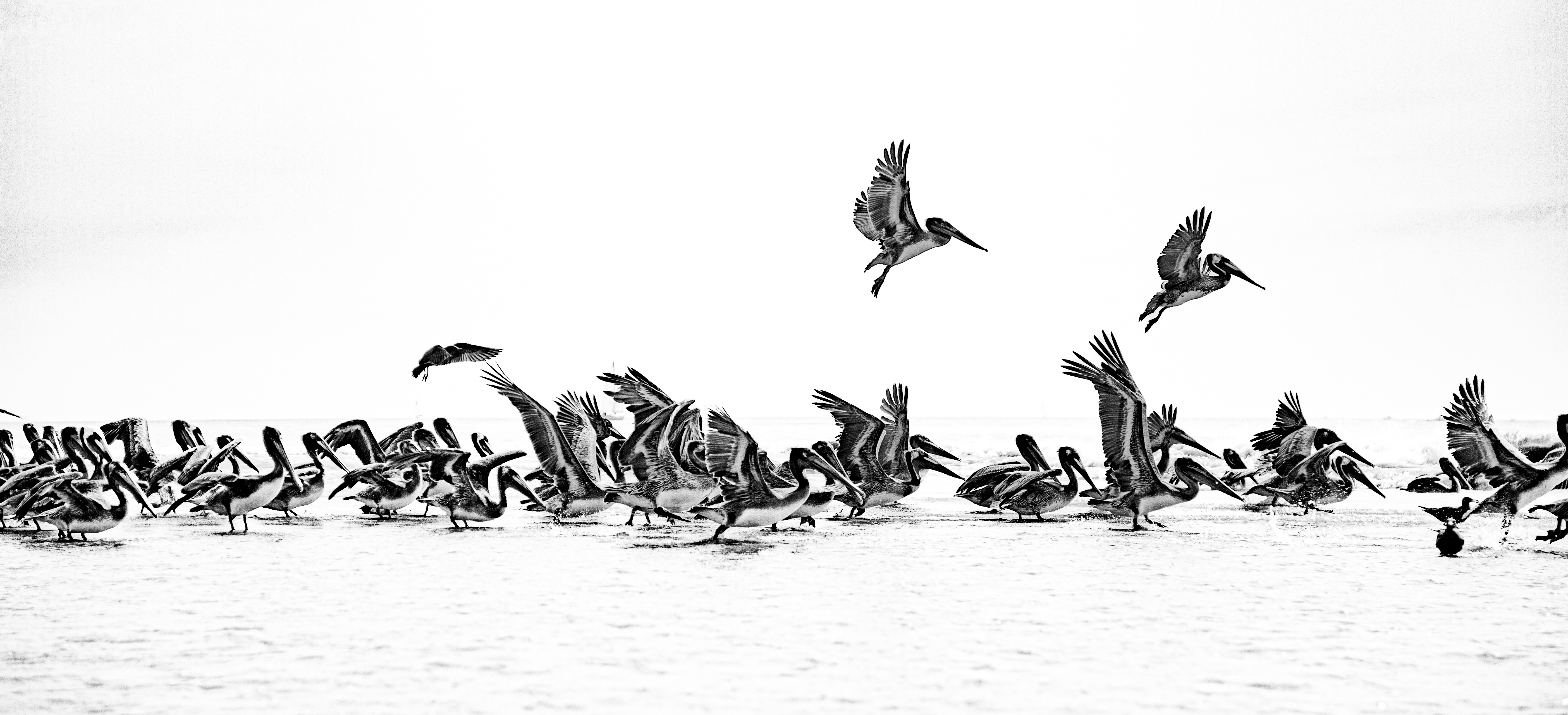 description of image 5