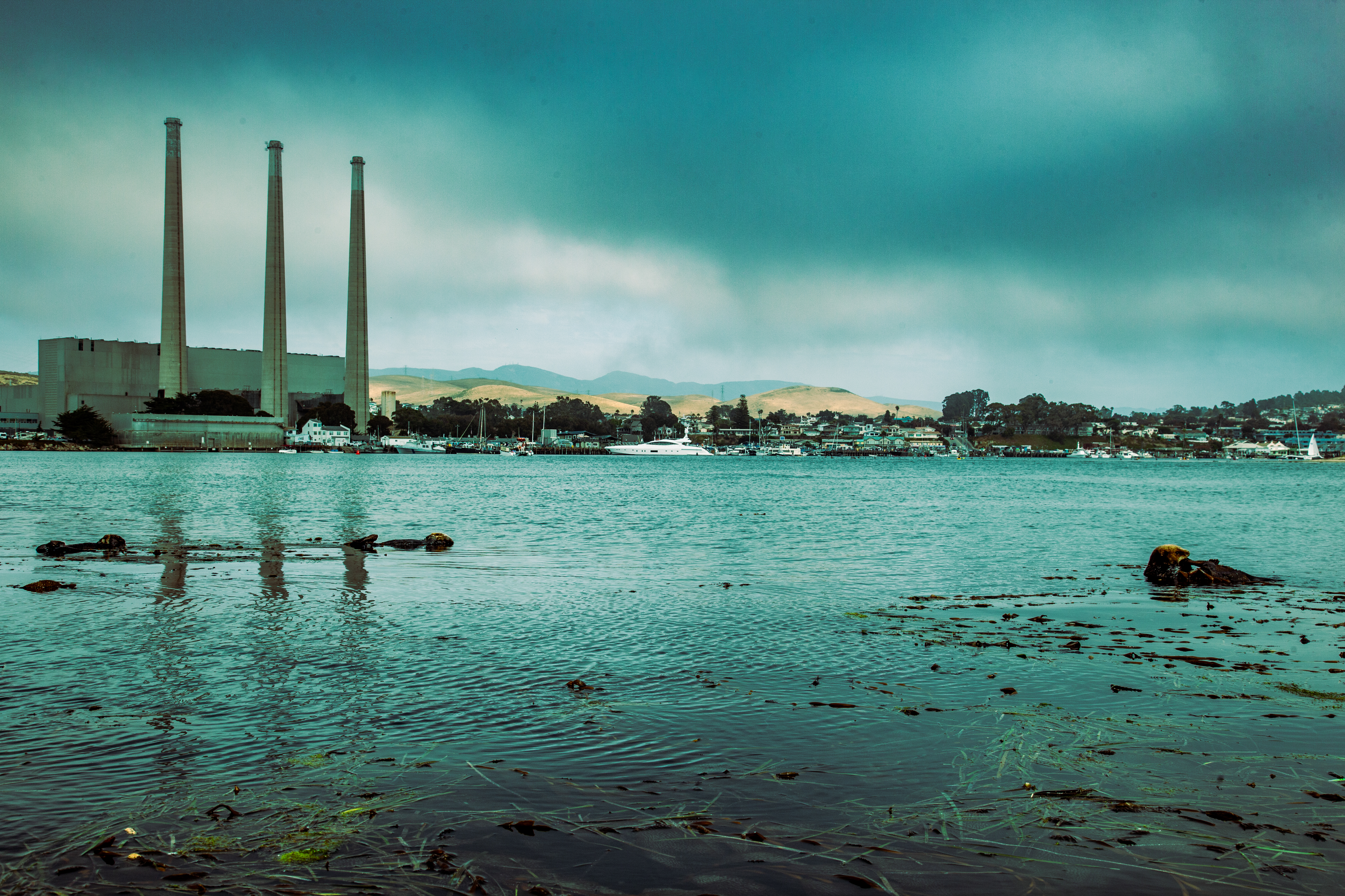 description of image 6