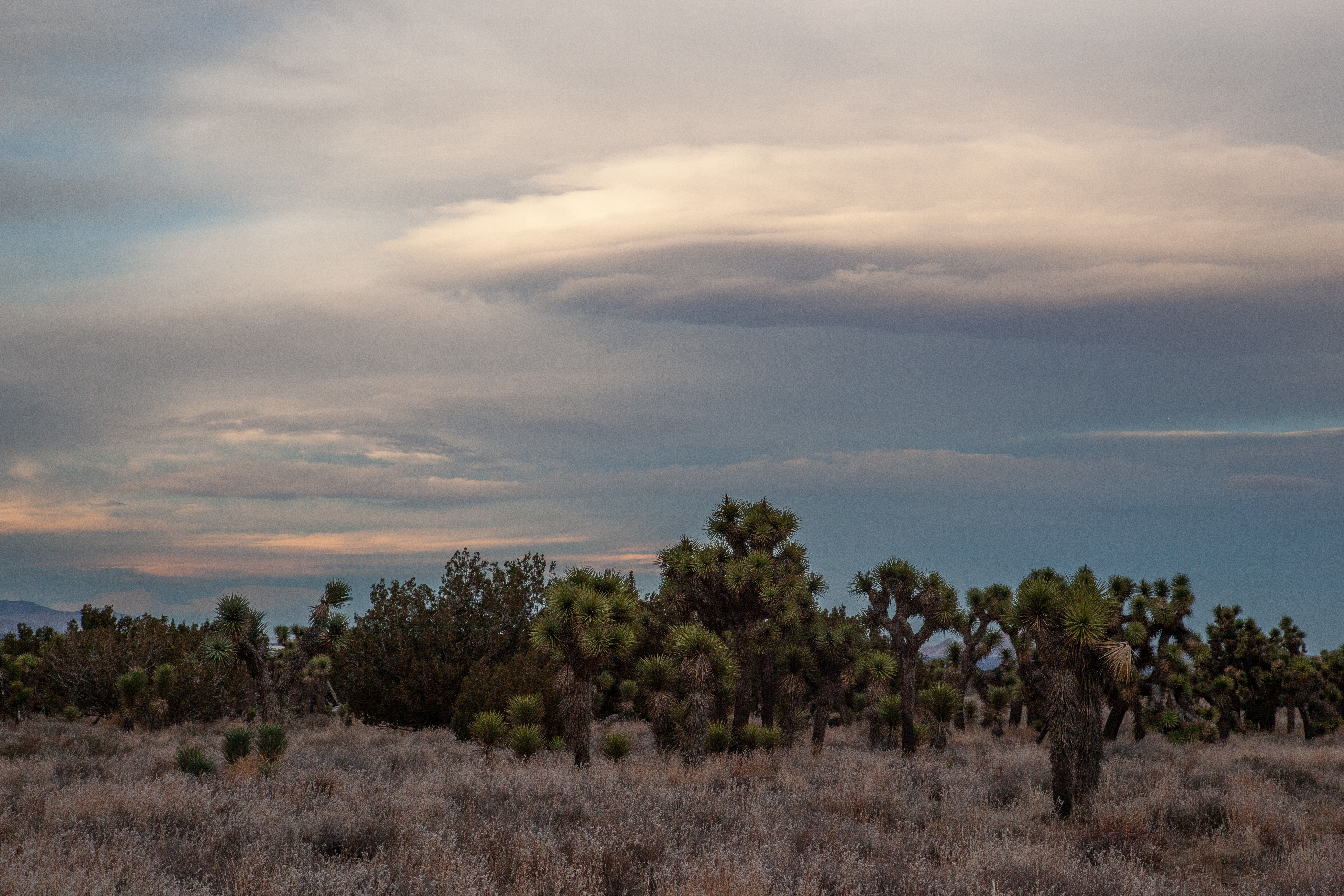 description of image 8