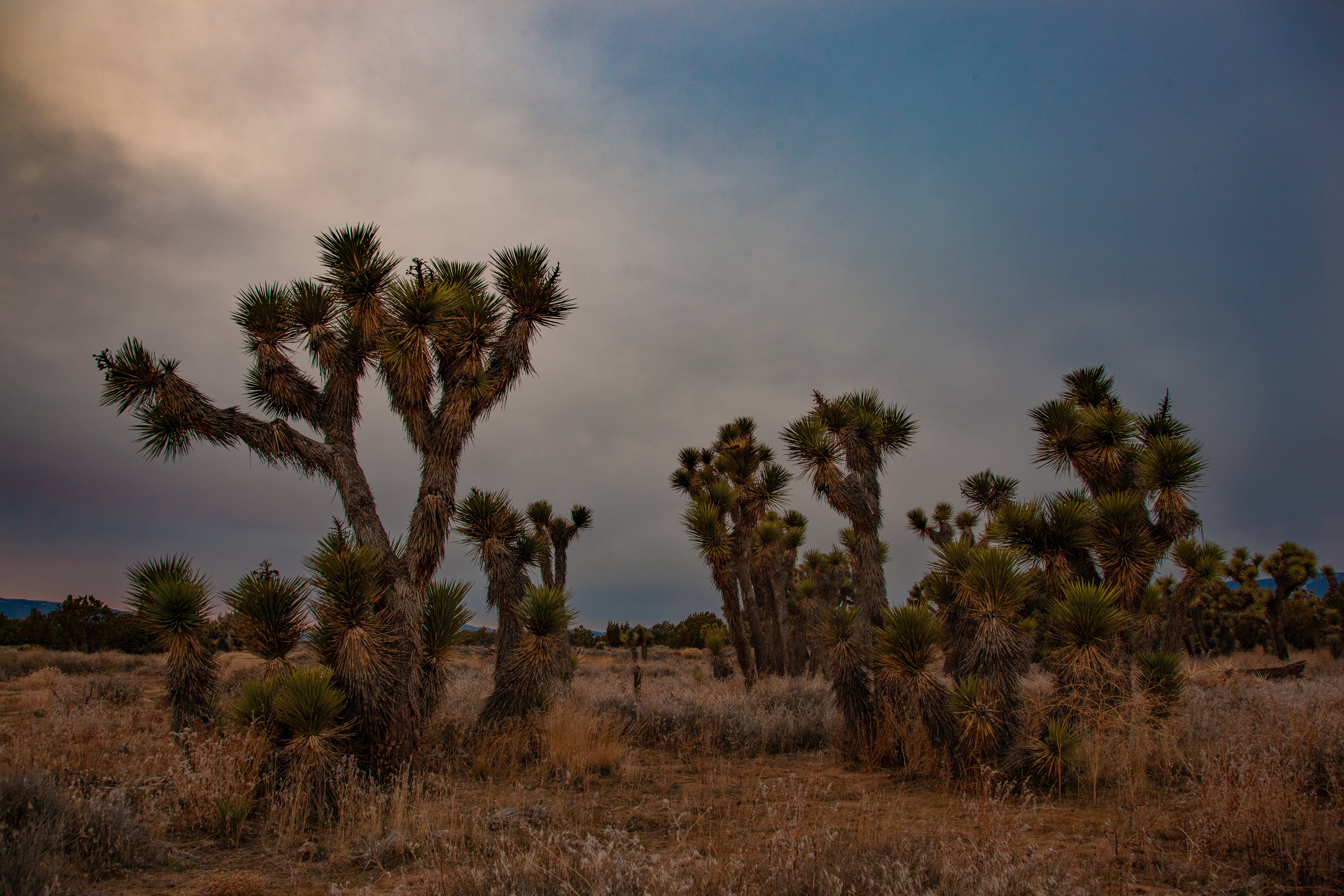 description of image 9