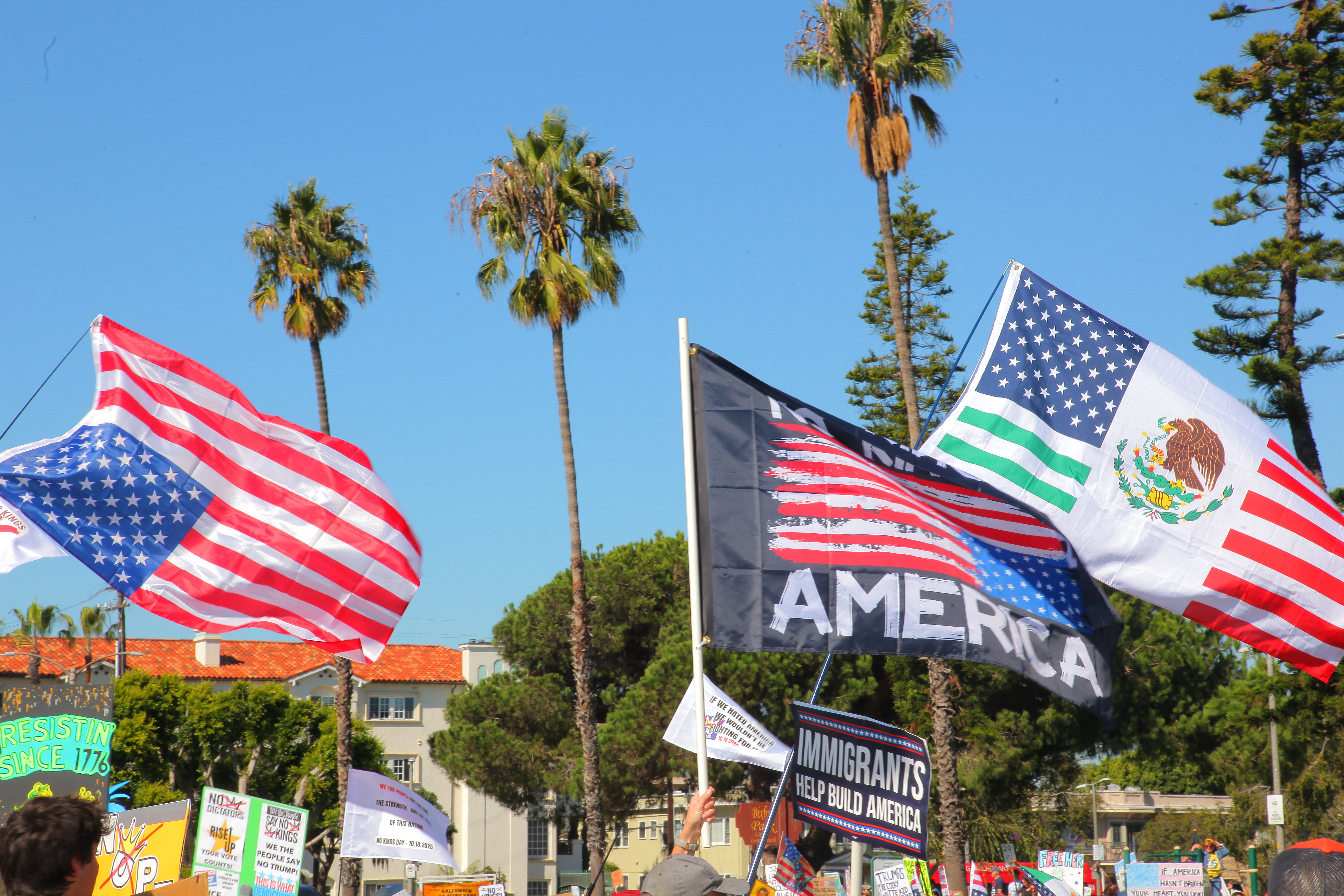 description of image 6