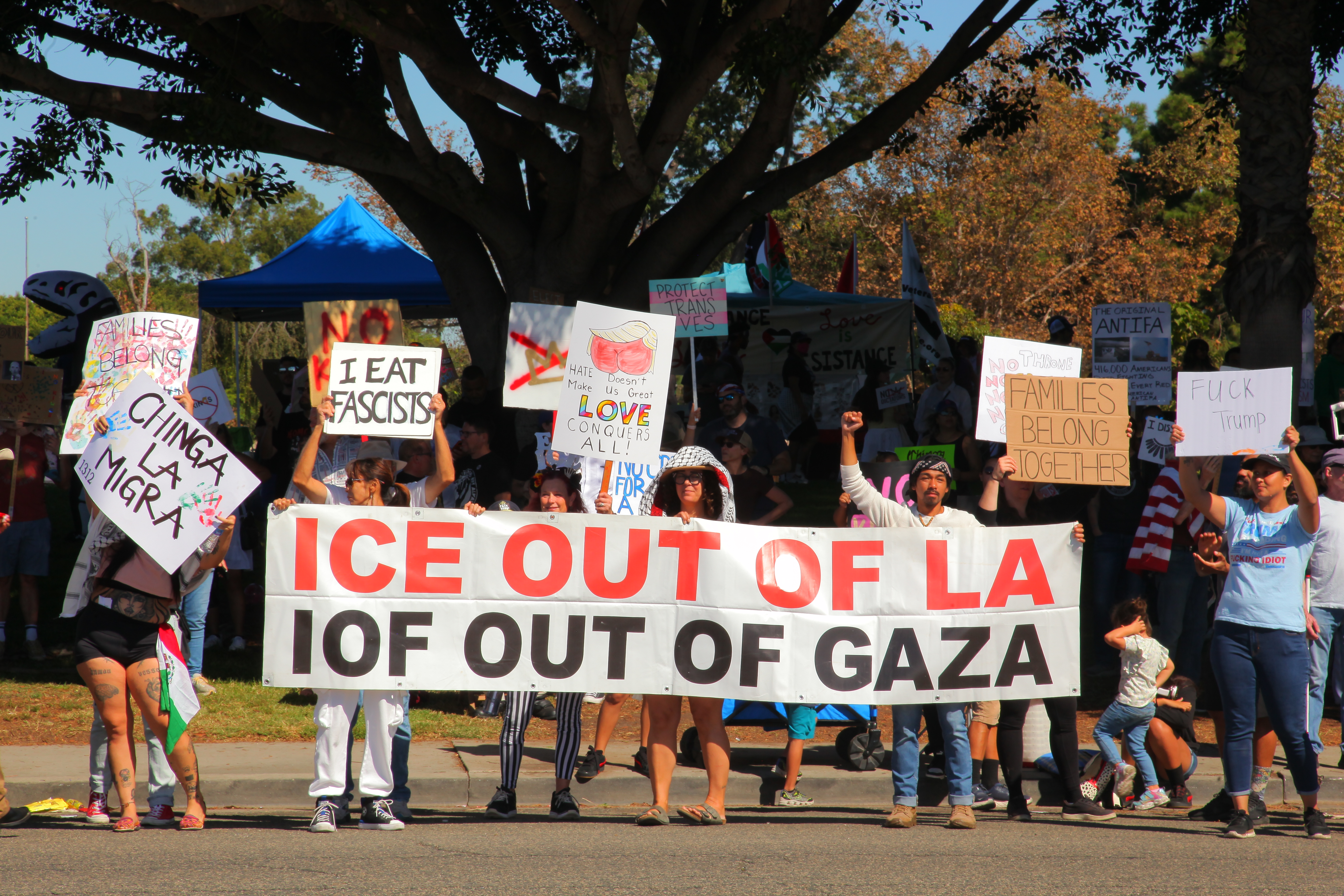 description of image 12