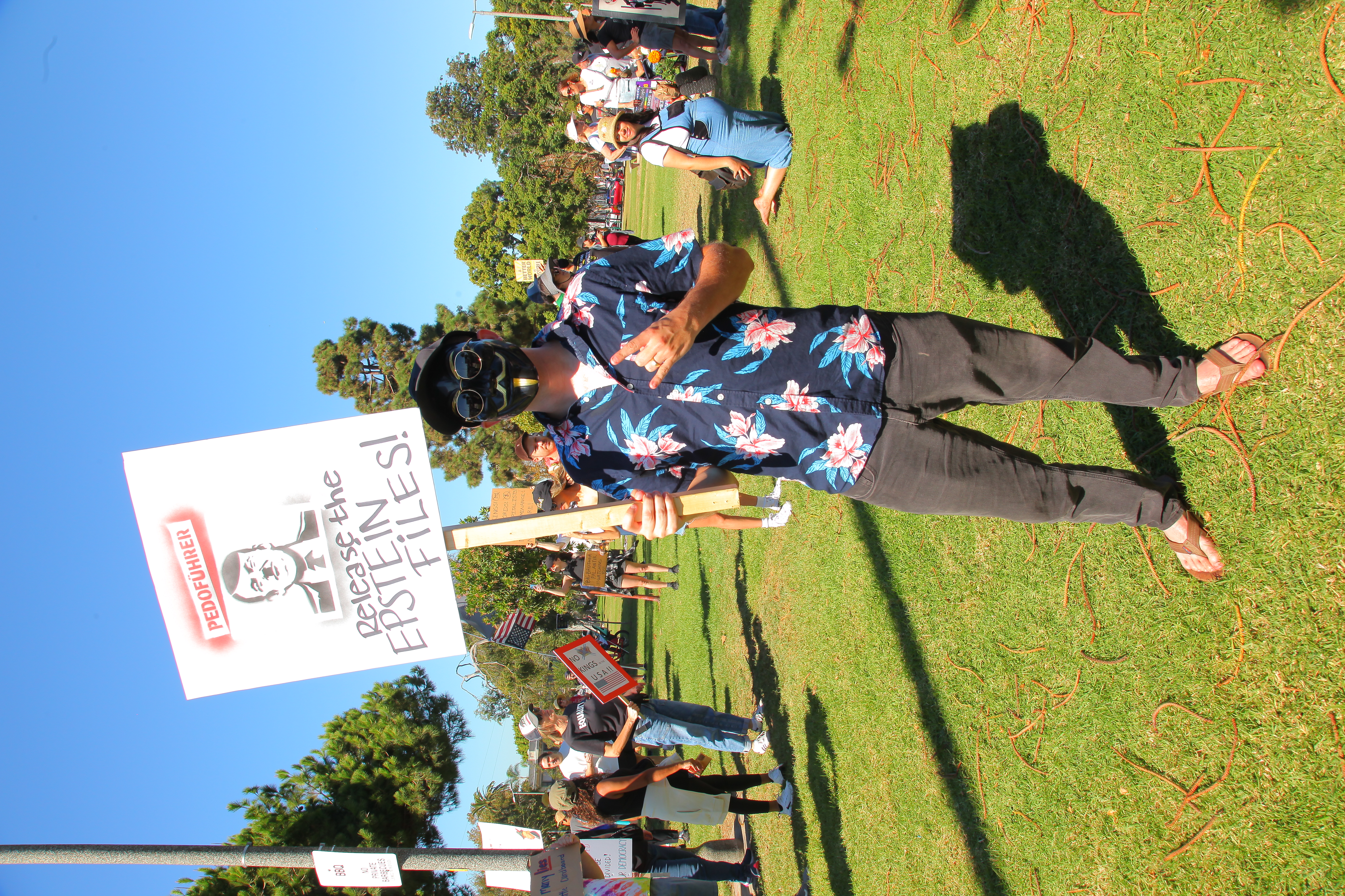 description of image 9