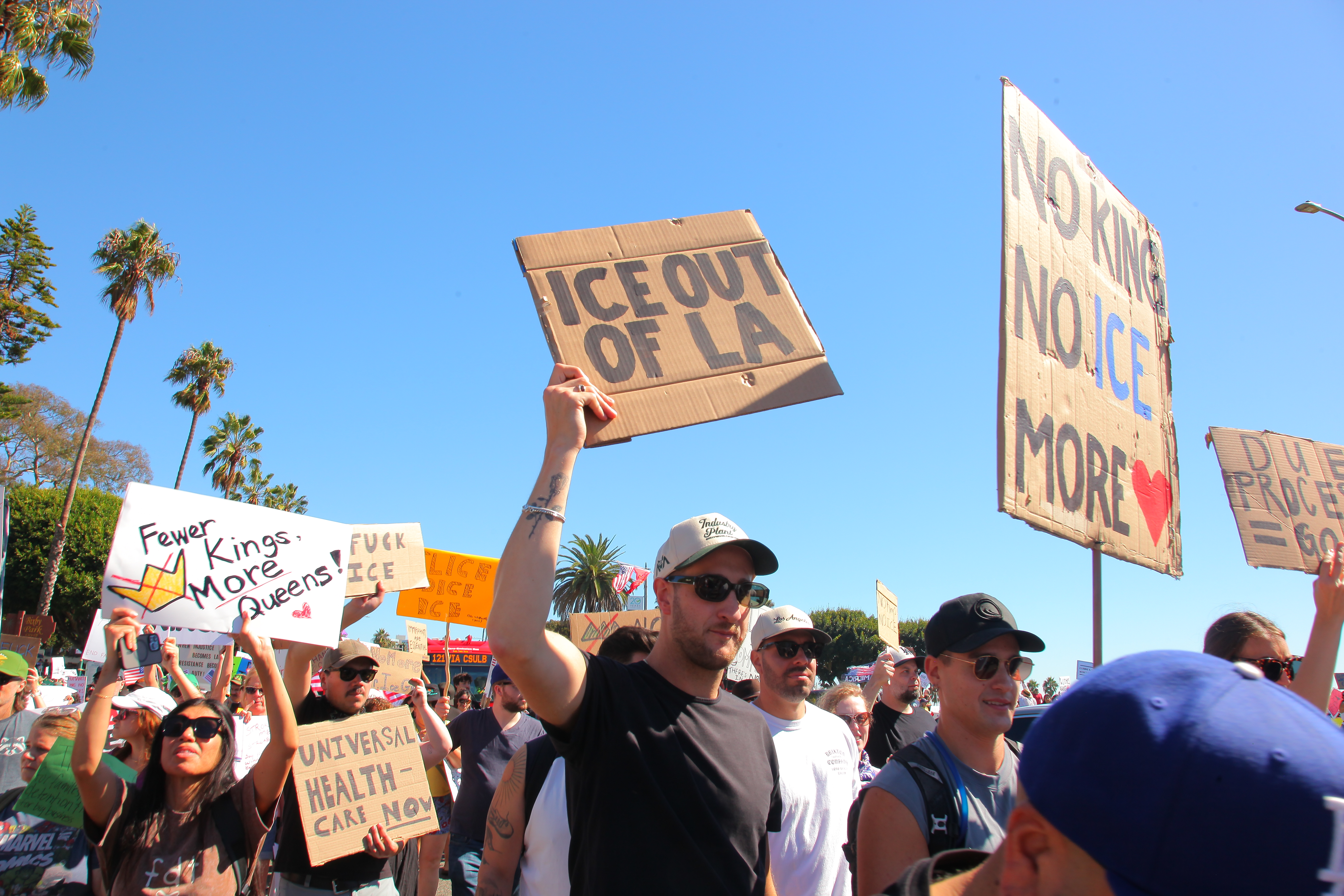 description of image 7