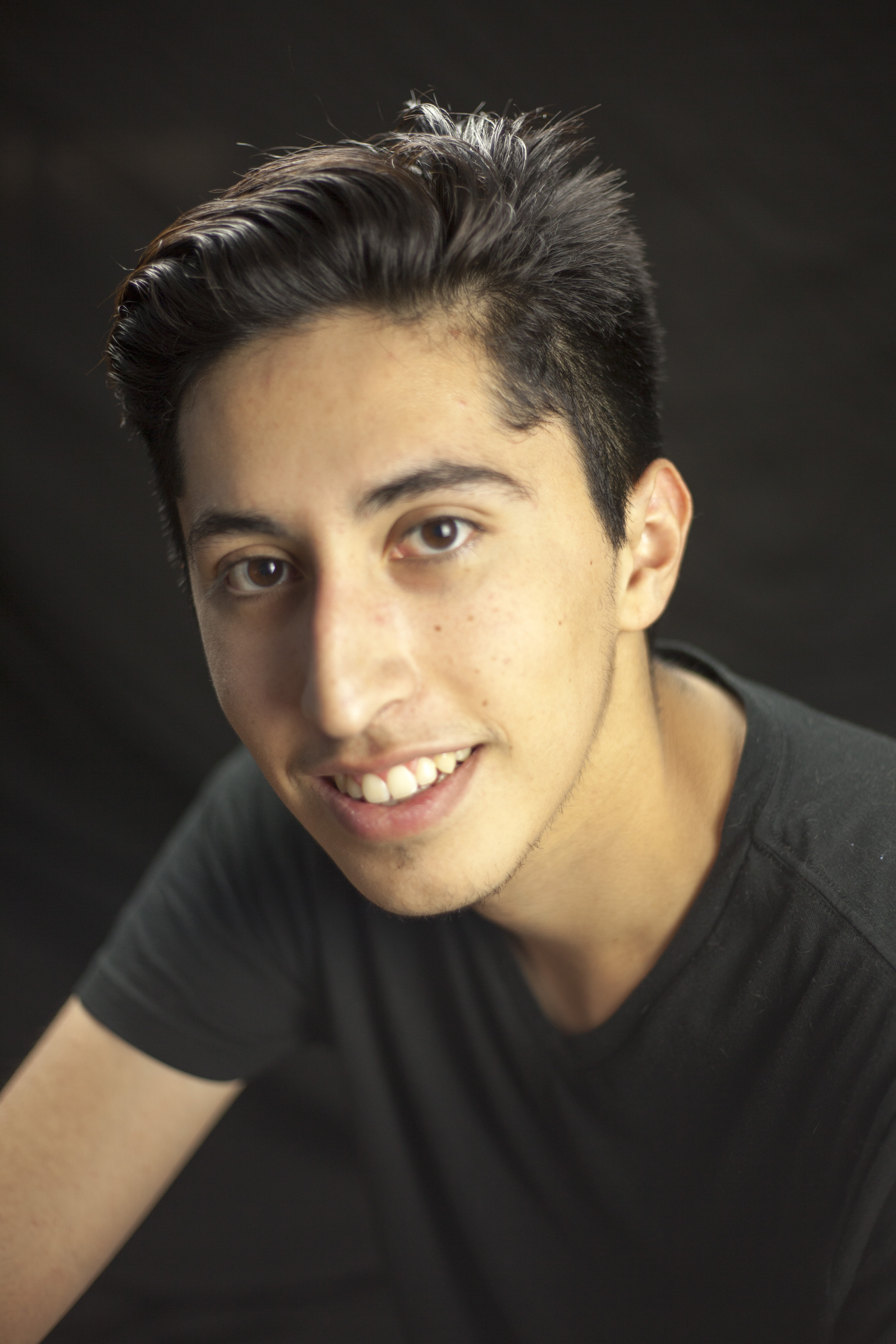 description of image 3