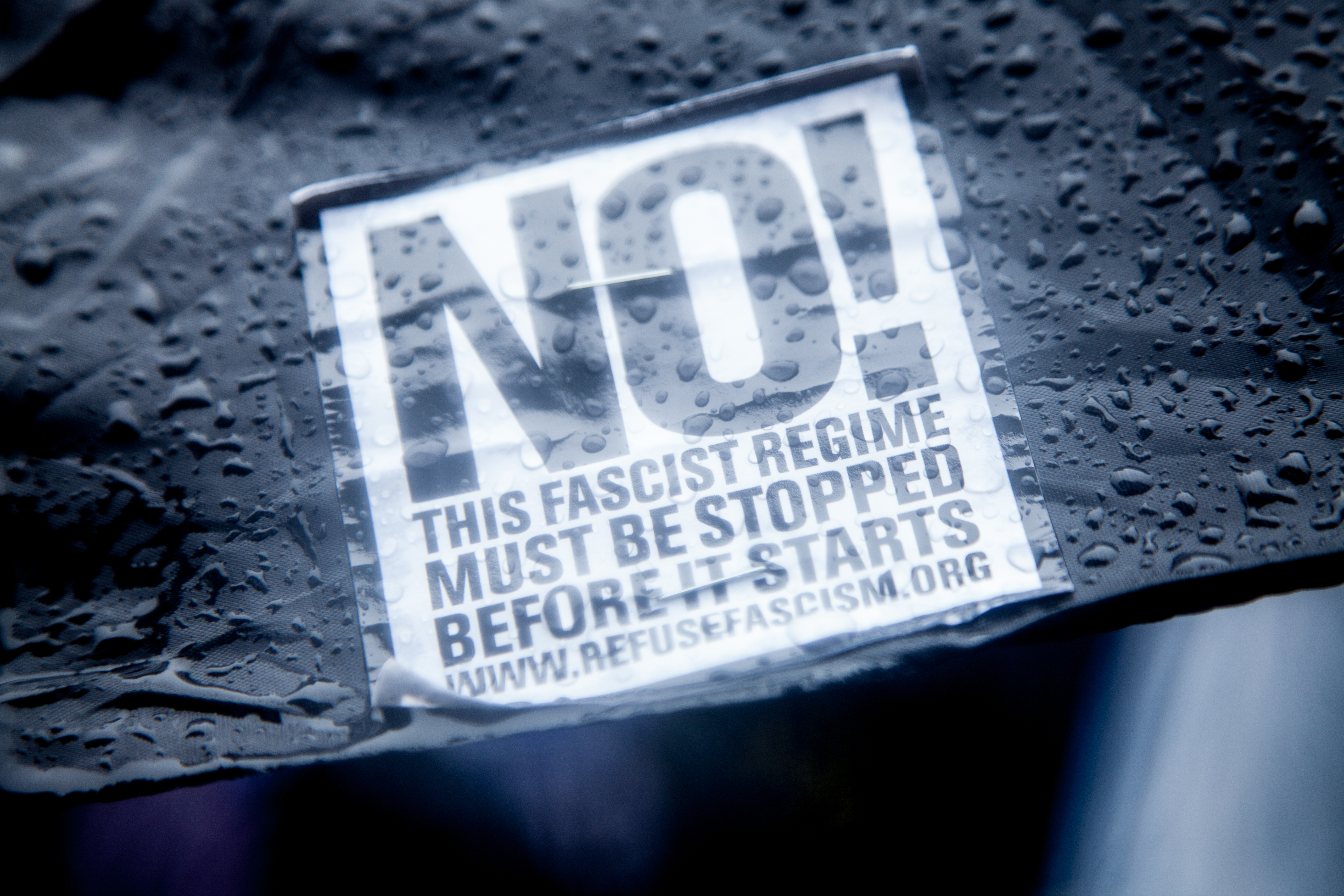 description of image 4