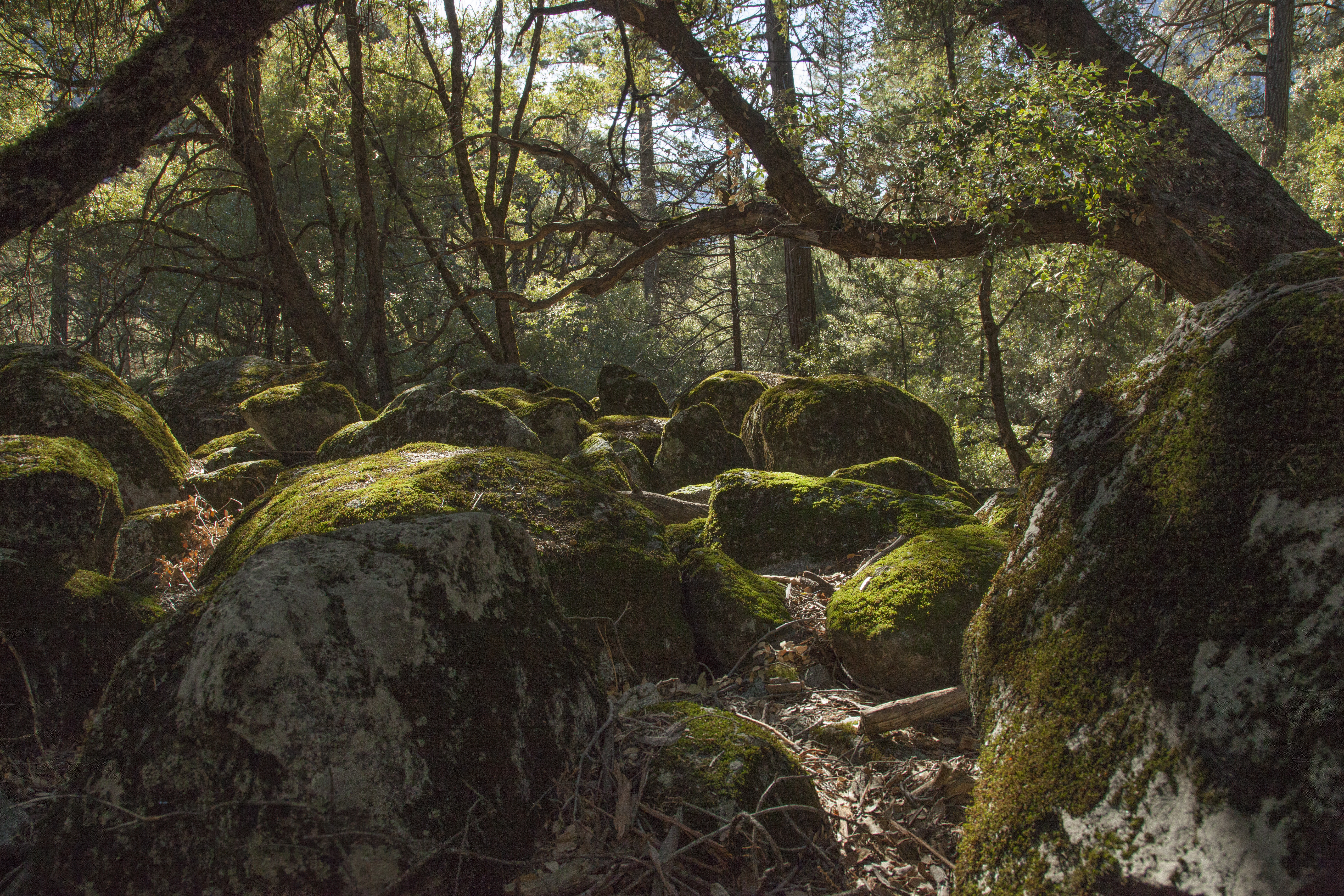 description of image 10